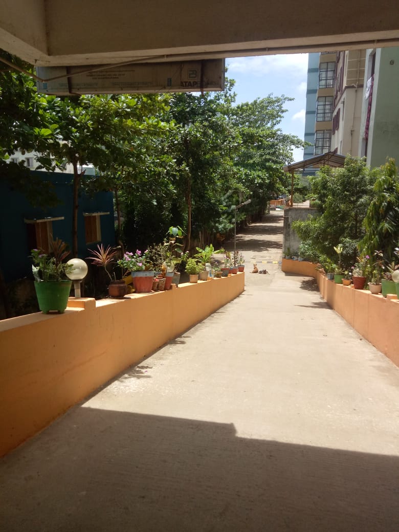 Society Greenery